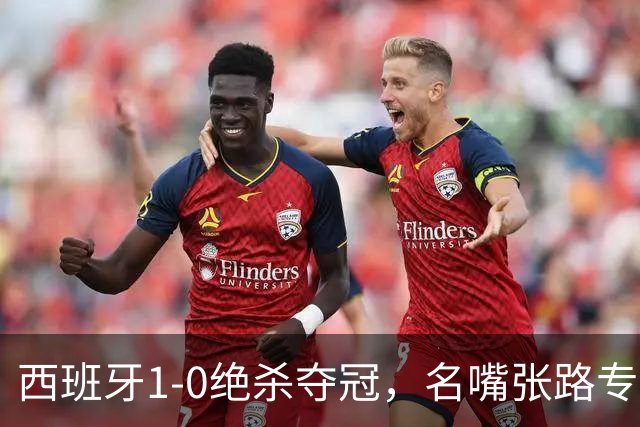 西班牙1-0绝杀夺冠，名嘴张路专业解读赢球真正原因，一针见血切中要害