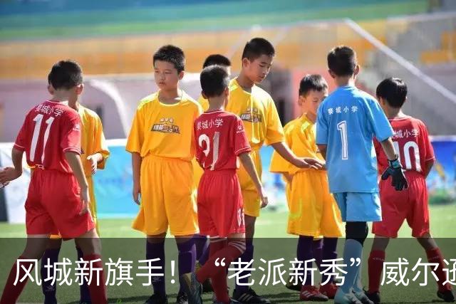 风城新旗手！“老派新秀”威尔逊带给公牛复兴曙光